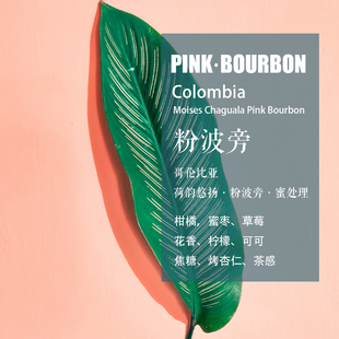 哥伦比亚荷韵悠扬粉波旁Pink Bourbon蜜处理咖啡豆 手冲单品咖啡