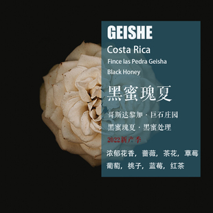 哥斯达黎加巨石庄园黑蜜瑰夏Geisha黑蜜处理咖啡豆 手冲单品咖啡