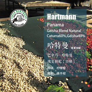 巴拿马哈特曼瑰夏拼配 日晒处理  手冲咖啡豆 轻度袋装 下单烘焙