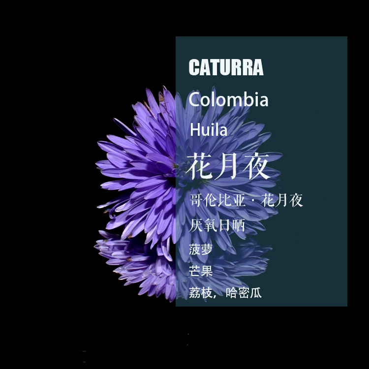 哥伦比亚花月夜厌氧日晒咖啡豆