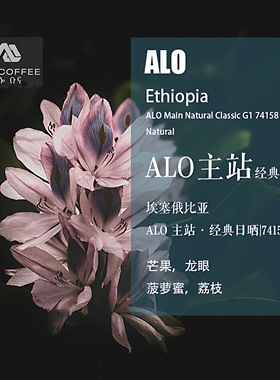 埃塞俄比亚ALO主站日晒处理74158咖啡豆手冲单品咖啡新鲜下单烘焙