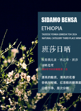 埃塞俄比亚西达摩班莎咖啡豆2024TOH日晒组第三名日晒处理 手冲豆