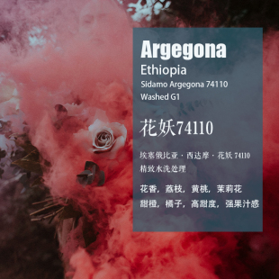 埃塞俄比亚西达摩Sidamo花妖74110 精致水洗处理咖啡豆 手冲单品