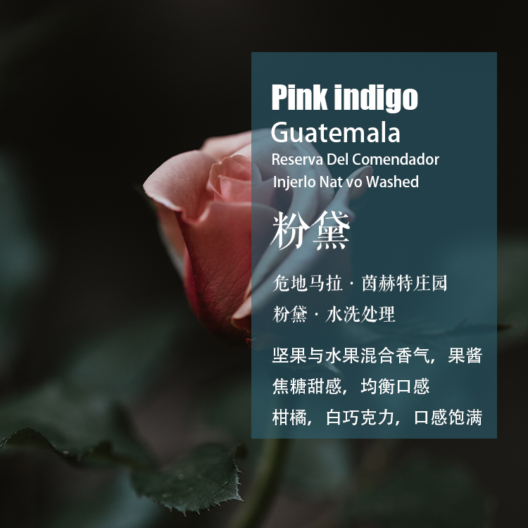 危地马拉茵赫特庄园粉黛咖啡豆