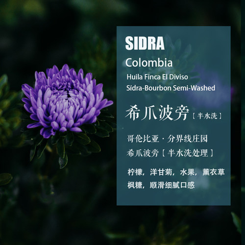 分界线庄园希爪半水洗处理咖啡豆