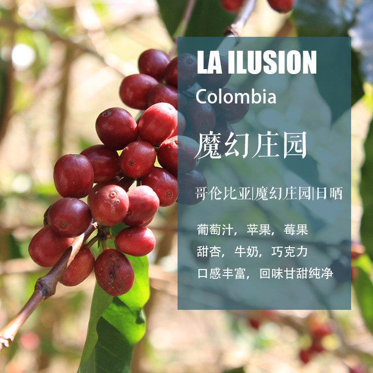 150g ��Ⱥ決 ���ױ���ħ��ׯ԰��ɹ�����ֳ嵥Ʒ���ȶ� ��ȴ�װ �����µ��決