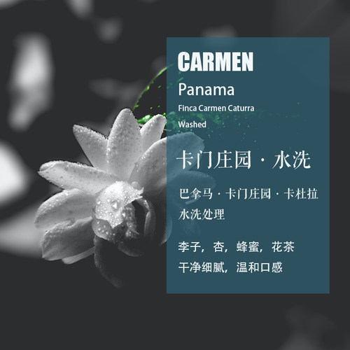 巴拿马卡门庄园卡杜拉水洗咖啡豆