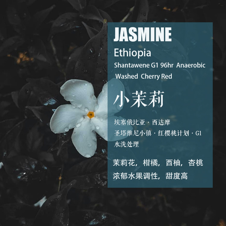 埃塞圣塔维尼小镇小茉莉咖啡豆
