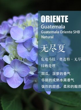 危地马拉奥连特Oriente无尽夏SHB 咖啡豆 日晒处理 手冲单品咖啡