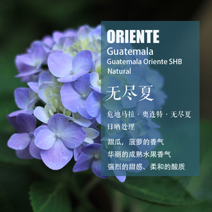 危地马拉奥连特Oriente无尽夏SHB 咖啡豆 日晒处理 手冲单品咖啡