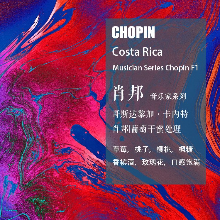 哥斯达黎加卡内特庄园 肖邦Chopin咖啡豆F1葡萄干蜜处理 手冲单品