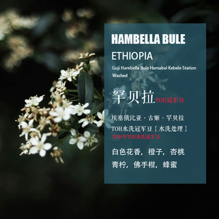 埃塞俄比亚古姬Guji罕贝拉Hambella咖啡豆TOH水洗冠军豆 手冲单品