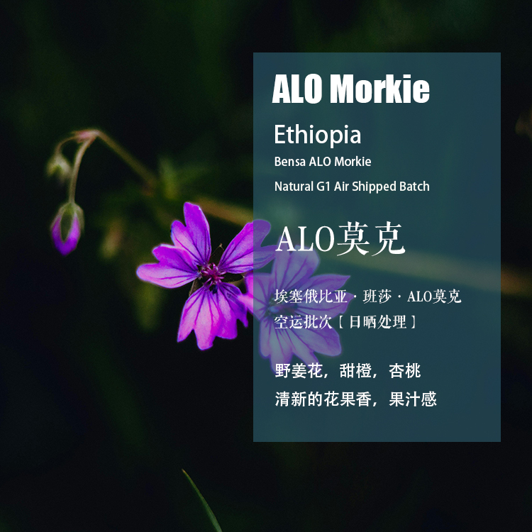班莎阿罗莫克日晒处理手冲咖啡豆