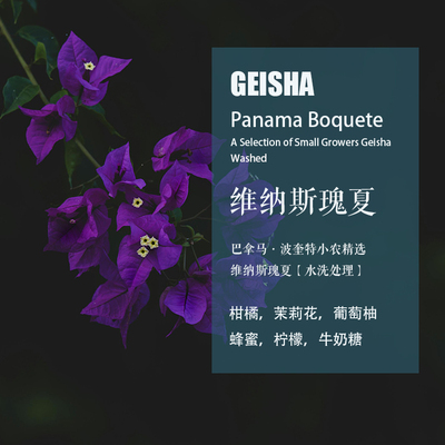 巴拿马维纳斯瑰夏水洗手冲咖啡豆