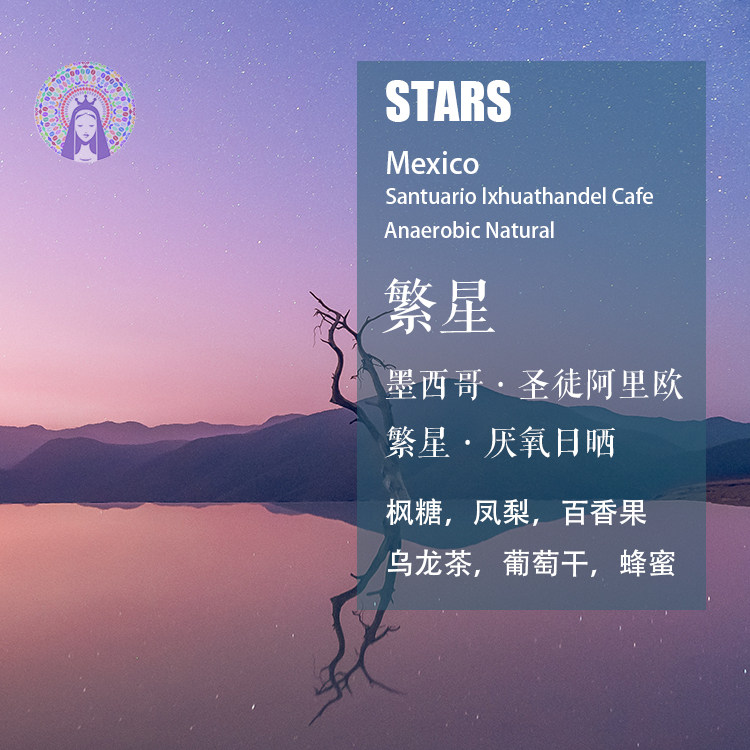 墨西哥圣徒阿里欧繁星手冲咖啡豆
