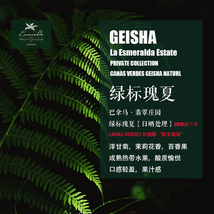 2025年新产季巴拿马翡翠庄园绿标瑰夏Geisha日晒处理咖啡豆 手冲