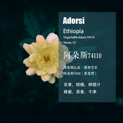 耶加雪菲阿朵斯蜜处理手冲咖啡豆