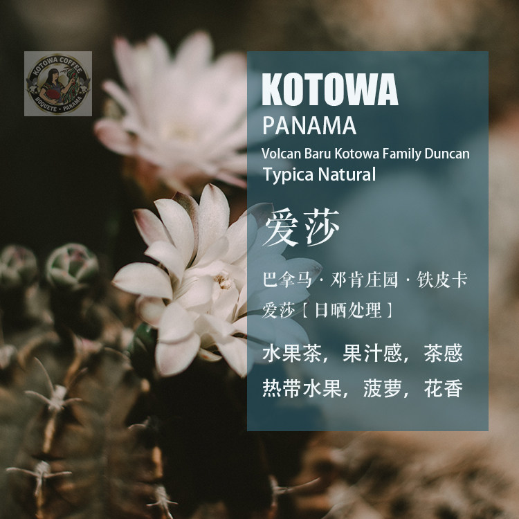 巴拿马邓肯庄园铁皮卡typica 爱莎咖啡豆 日晒处理 手冲单品咖啡