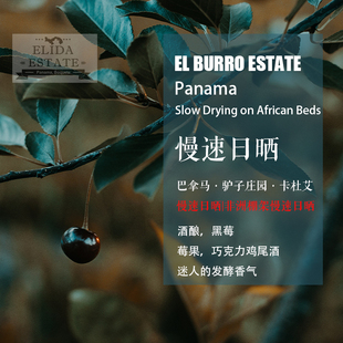 巴拿马驴子庄园卡杜艾慢速日晒 非洲棚架慢速日晒咖啡豆 手冲单品