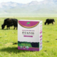 野笙牦牛奶粉儿童成长型