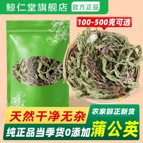 鲸仁堂安徽整颗带根蒲公英中药材