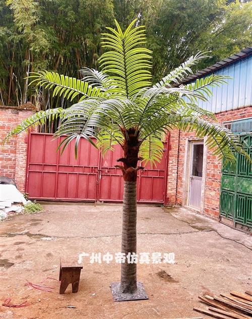 仿真椰子树假椰树户外玻璃钢大型大王椰绿化大树室外海枣树风景树