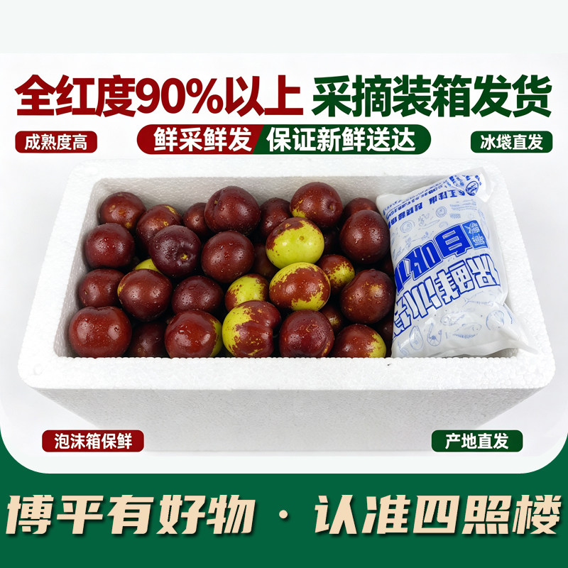 山东博平圆铃枣 当季新鲜大枣 脆甜多汁肉厚核小鲜枣