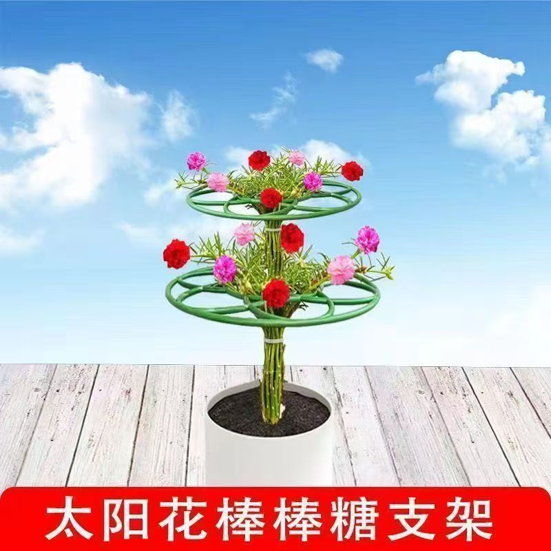 太阳花支架棒棒糖花架