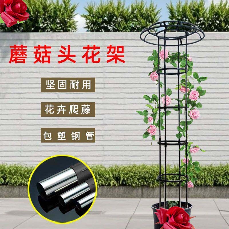 铁线莲专用爬藤架伞型蘑菇爬藤架月季架子园艺阳台庭院藤架花支架