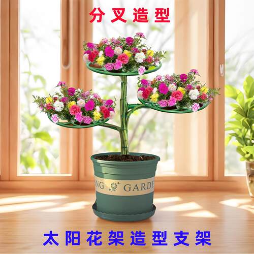 新款太阳花支撑架多层塔爬藤嫁