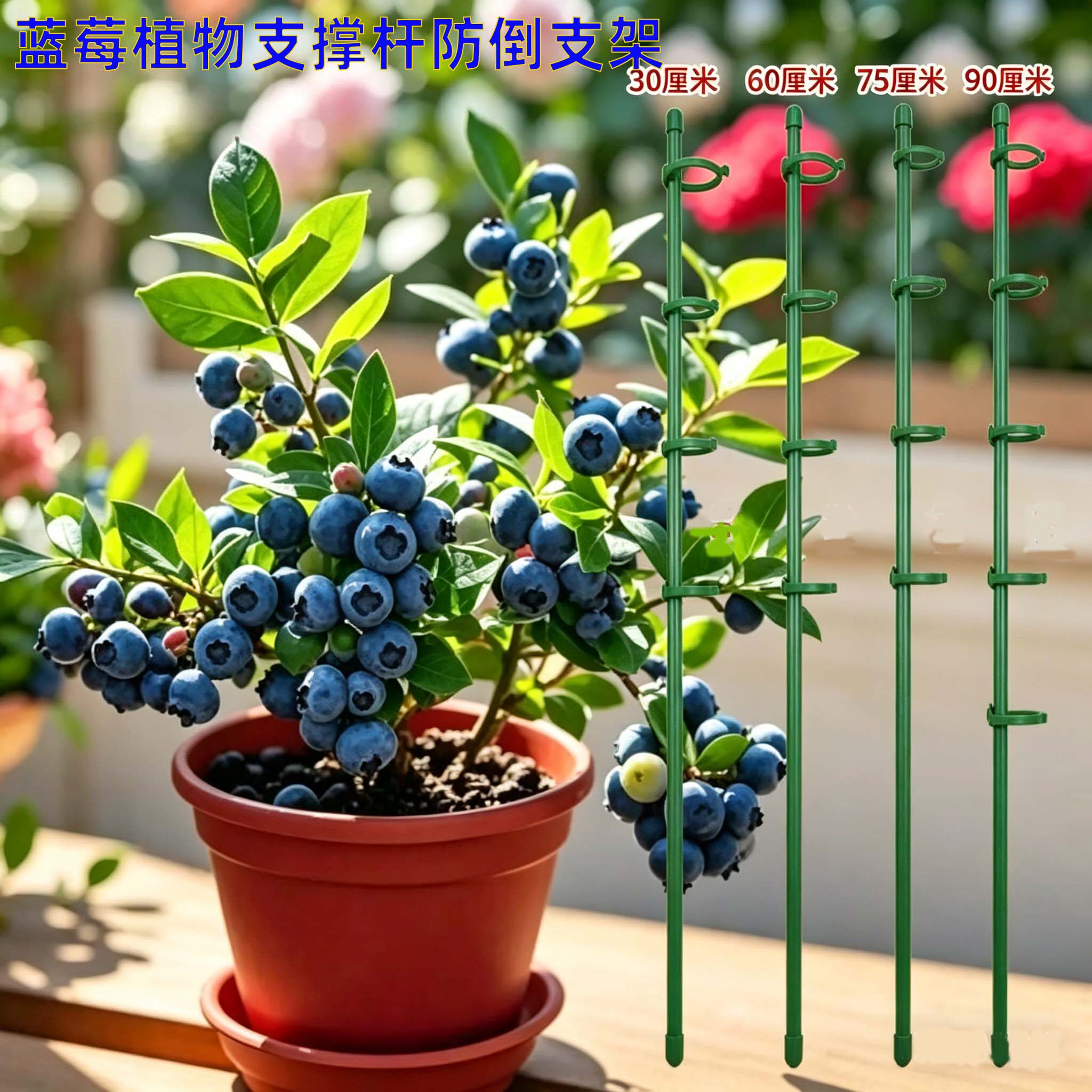 植物支撑杆固定防倒伏园艺支撑单杆月季爬藤红掌撑花支架子
