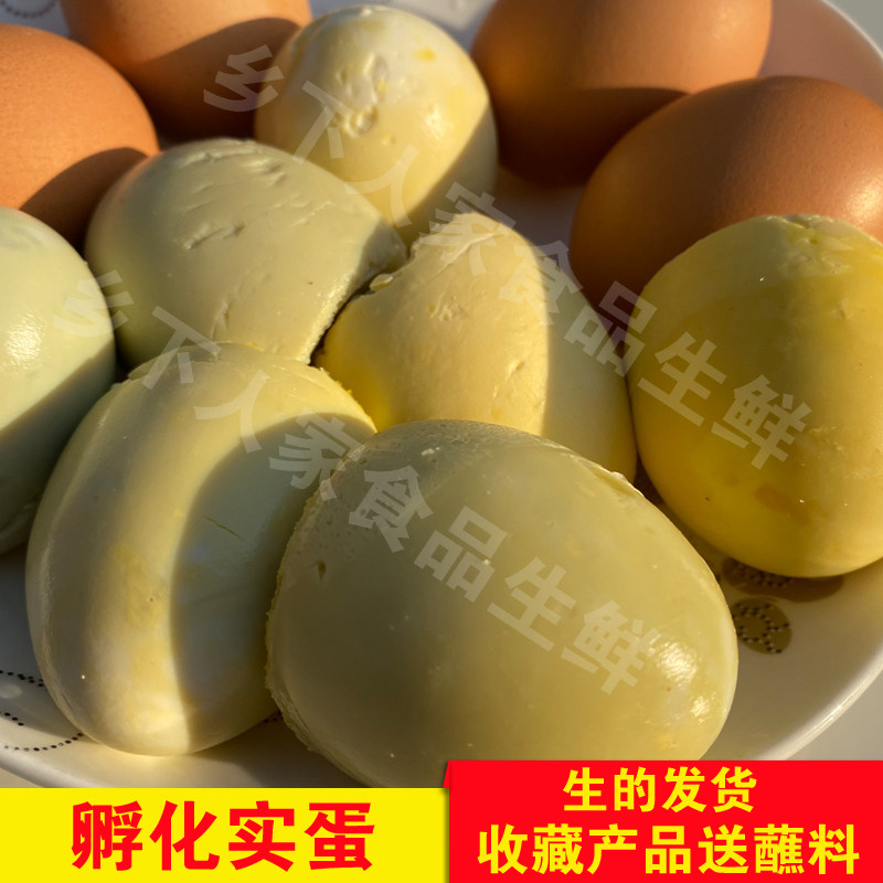 新鲜实蛋旺蛋寡蛋孵化8天旺鸡蛋鸡蛋