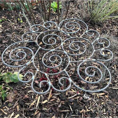 Metal Plant Support Ring for Garden 植物支架