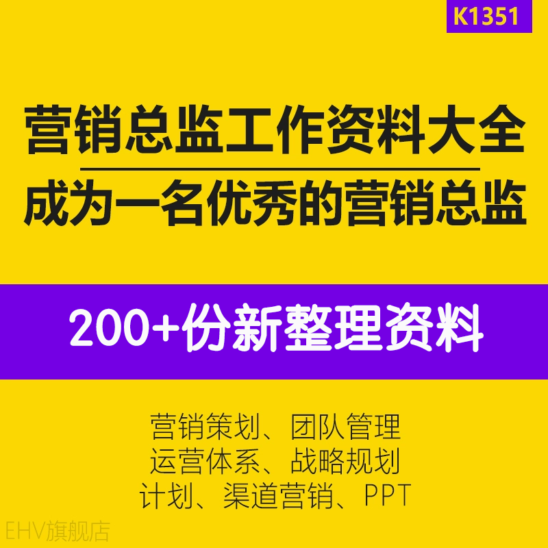 营销总监管理渠道业绩战略规划