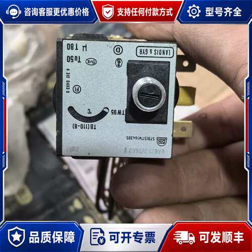 议价TAKASAGO温度控制器，型号TW-95，带铜热敏探头可维修