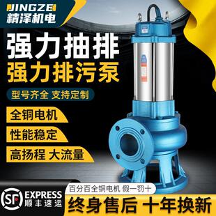 不锈钢泥浆泵污水家用沼气池化粪池潜水泵清淤泥沙抽粪养殖场高压