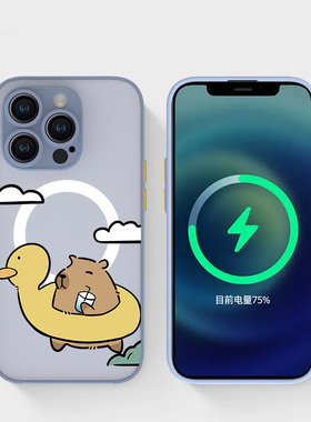 奔斯特iPhone16pro肤感磁吸14magsafe手机壳适用13mini创意款磨砂se2灰色15plus苹果11卡通动画12max可爱水豚