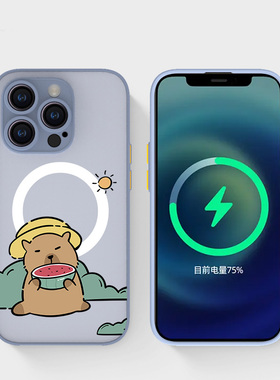 奔斯特iPhone16pro肤感磁吸14magsafe手机壳适用13mini创意款磨砂se2灰色15plus苹果11卡通12max吃西瓜水豚