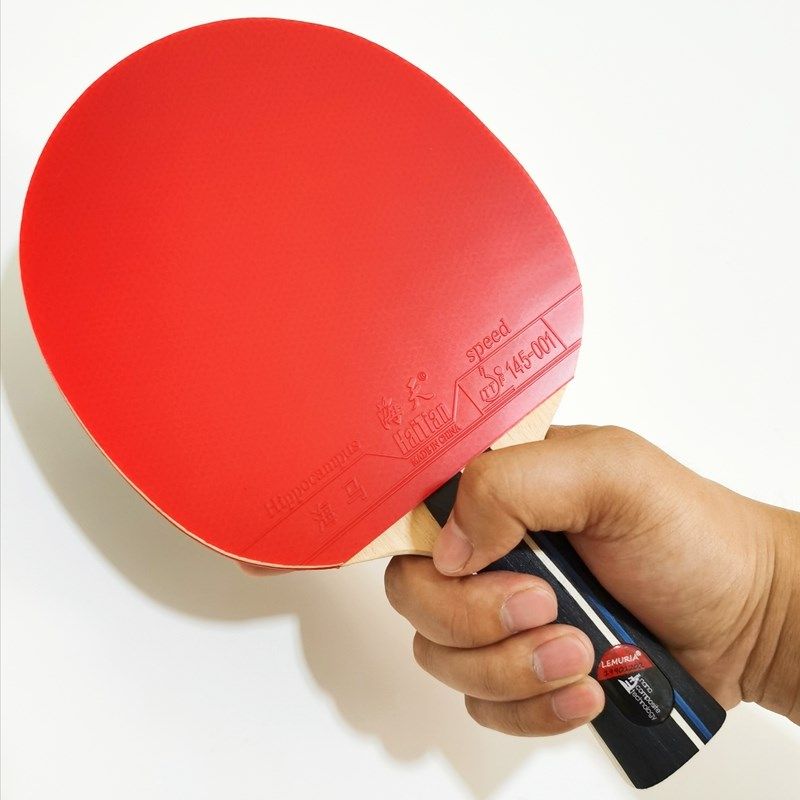 professional table tennis paddle with carrying case  ping po