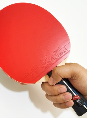 Professional Table Tennis Paddle with Carrying Case  ping po