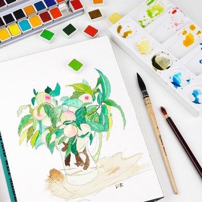 12/24/48 colors  Rubens fresh solid watercolor paint set, ar