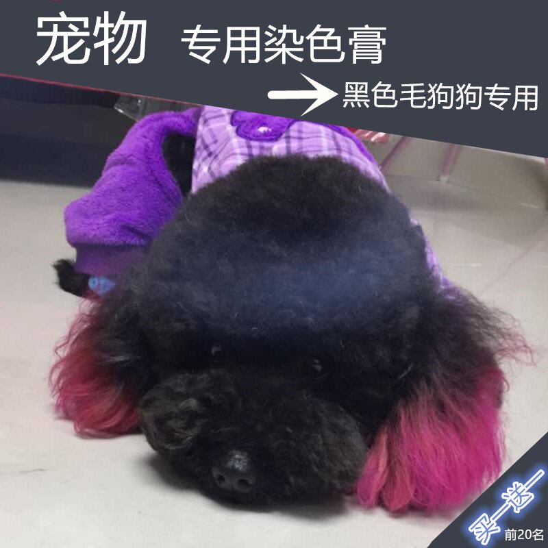 宠物染发剂狗狗染色膏黑色毛泰迪染毛剂彩色染膏