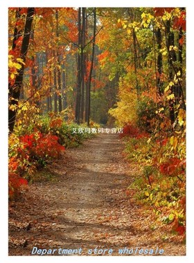 0.9 X 1.5m Photography Background Fabric Autumn Leaves/Red B