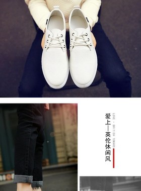 Zinnia Seeds Bonsai Flower for Indoor Rooms Seed 30 Particle