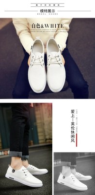 Zinnia Seeds Bonsai Flower for Indoor Rooms Seed 30 Particle