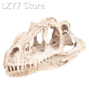 Ceratosaurus Dinosaur Skull Resin Crafts Fossil Skeleton Tea