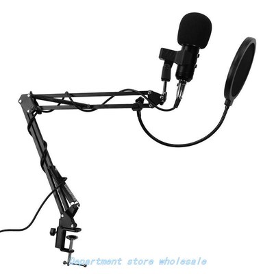 BM-300 USB Wired Condenser Microphone Studio Karaoke Noise R