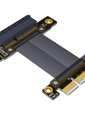 R22SF PCIe 3.0 x4  to  Extension Cable PCI Express Gen3 Moth