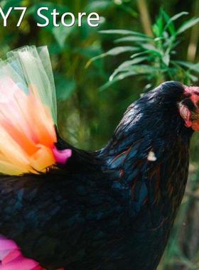 2022 New Chicken Costume Skirt Tutu Coop Hen Decorations Hal
