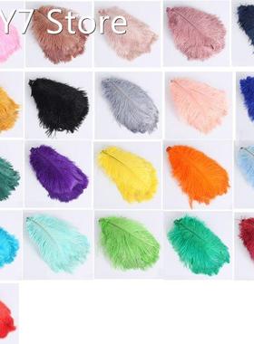 New Colored Ostrich Feather 10Pcs for Photography Props Flow